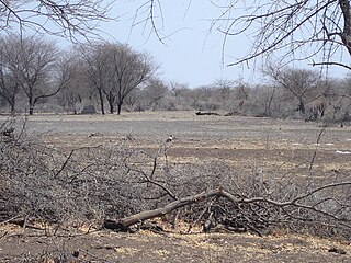 Hwali Ward in Matabeleland South, Zimbabwe