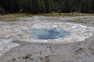 Spasmodic Geyser geyser in the Upper Geyser Basin of Yellowstone National Park