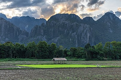 Square plot of a green paddy field, hut and karst mountains under colorful clouds at sunset, Vang Vieng, Laos