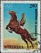 Stamp of India - 1980 - Colnect 526838 - Show Jumping.jpeg