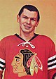 Stan Mikita