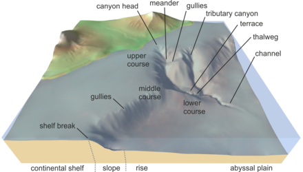 Sketch showing the main elements of a submarine canyon
