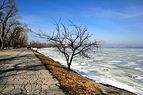 Taganrog Embankment IMG 7797 1725.jpg