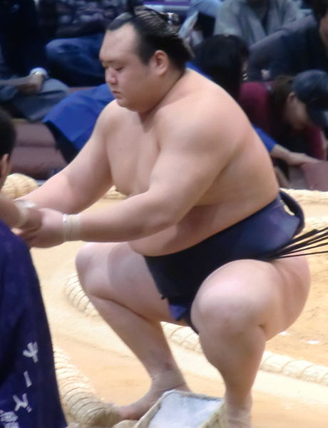 File:Takarafuji 2011 Nov.jpg