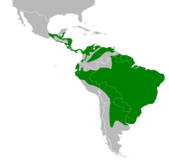 Tapera naevia map.svg