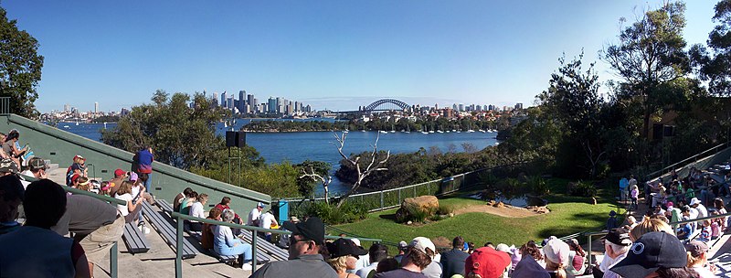 File:Taronga-Zoo-before-bird-show-pano.jpg