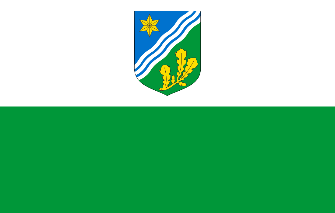 Comté de Tartu