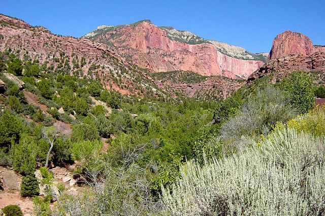 File:Taylor_Creek_with_Horse_Ranch_Mountain_in_background.jpeg