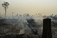 Terra Indígena Porquinhos, Maranhão (25758143568) .jpg