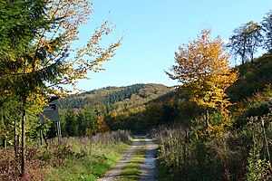 Teutoburger Wald: Name, Geographie, Geologie