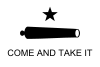 bearing the words "come and take it", the flag flown by Texians before the battle