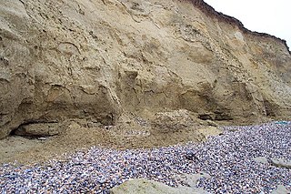 Thanet Formation geological formation around London