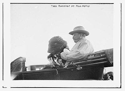 Theo. Roosevelt at Polo Match (LOC).jpg
