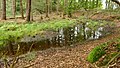 Deutsch: Toteiskessel 8, Toteiskessel-Wanderweg bei Haag in Oberbayern