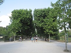 Trees in the Jardin des Plantes.jpg