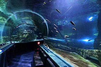 Tunnel aquarium in Tumon Tunnel in Underwater World, Guam.jpg