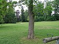 Kustermann-Park