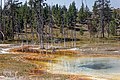 * Nomination Yellowstone NP, Upper Geyser Basin --Dirtsc 13:48, 4 July 2019 (UTC) * Promotion Good quality. --Seven Pandas 14:29, 4 July 2019 (UTC)