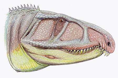 Tập_tin:Uralosaurus_magnus.jpg