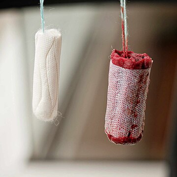 File:Used and unused tampon.jpg