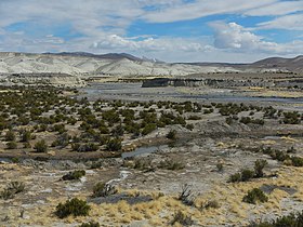 Údolí řeky Lauca, region Arica a Parinacota.JPG