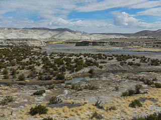 <span class="mw-page-title-main">Lauca River</span> River in Bolivia and Chile