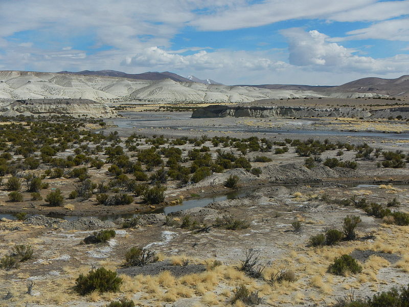 File:Valle del río Lauca, Región de Arica y Parinacota.JPG