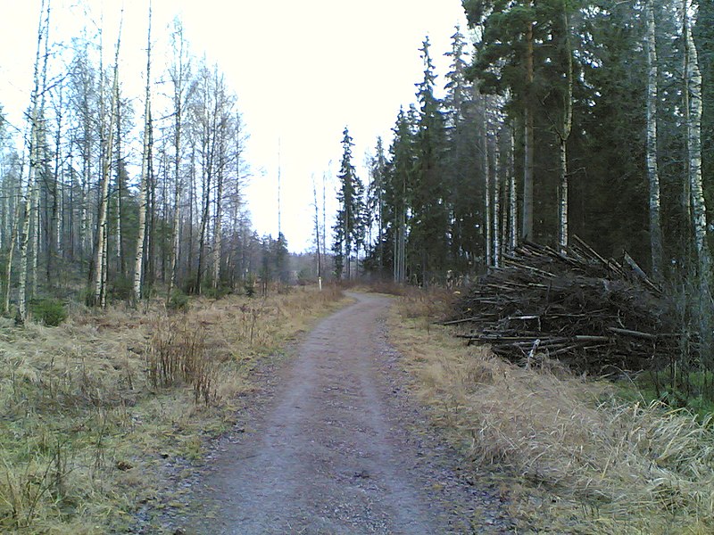 File:Vantaan metsätie - panoramio.jpg