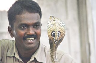 Vava Suresh Indian wildlife conservationist (born 1974)