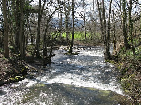 Vereinigung von Rotbach (links) mit Wagensteigbach zur Dreisam