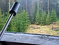 Blick auf zwei Rehe vom Hochsitz – beim Schuss auf eines der beiden wäre aufgrund des spitzen Schusswinkels vom Hochsitz herab ein natürlicher Kugelfang gewährleistet