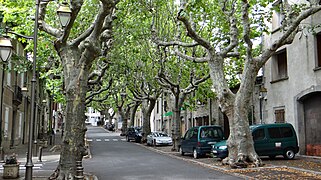 Promenade des fossés.