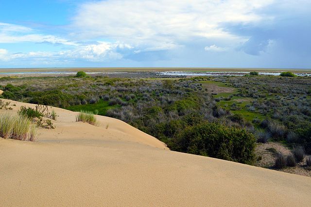 File:Vista_de_las_marismas_del_Parque_Doñana.jpg