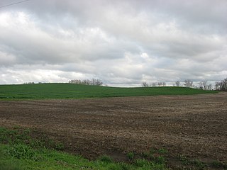 <span class="mw-page-title-main">Ware Mounds and Village Site</span> Archaeological site in Illinois, United States