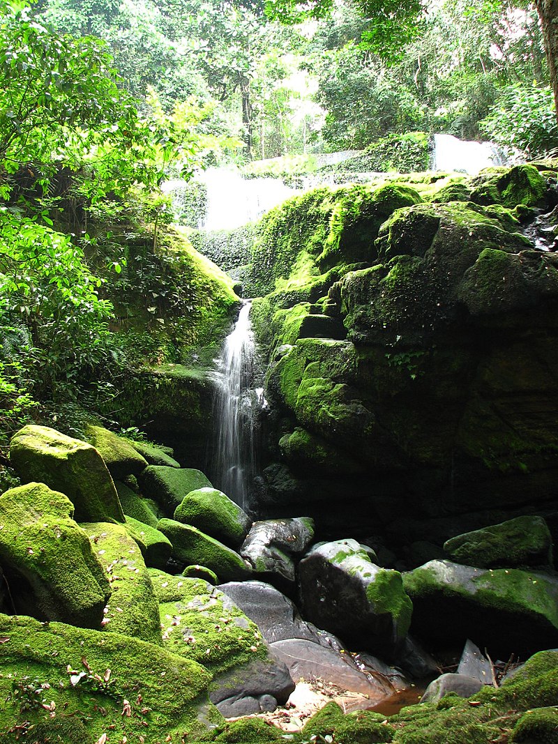 Afrique (Gabon) - Parc national d'Ivindo 800px-Waterfall_ivindo_gabon