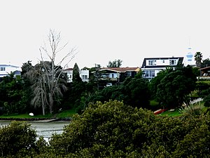 Westmere viewed from Meola Reef to the west
