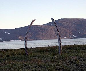 Whale Ribs, Yttygran Island.jpg