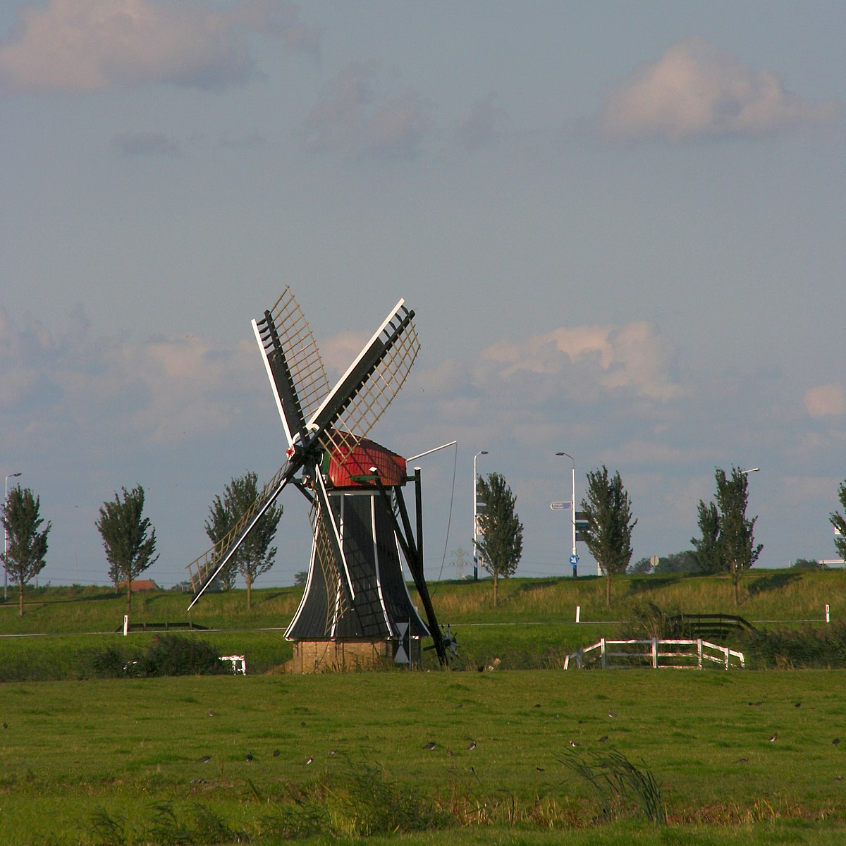 Langwert, Winsum