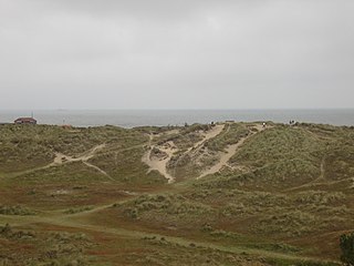 <span class="mw-page-title-main">Winterton Dunes</span> Dune system in Norfolk, England