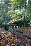 Naturschutzgebiet Wohldorfer Wald