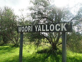 <span class="mw-page-title-main">Woori Yallock railway station</span> Former railway station in Melbourne, Australia