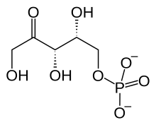 Xylulose 5-fosfaat.svg