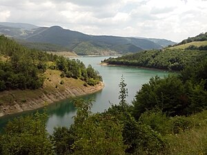 Zavoj Lake, Pirot