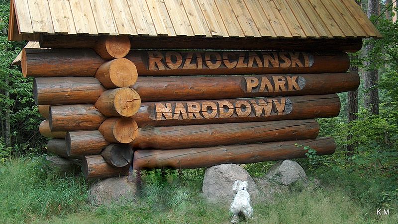 File:Zwierzyniec - Roztoczański park Narodowy - panoramio (13).jpg