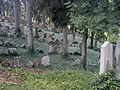 Čeština: Náhrobky na židovském hřbitově v Třebíči, kraj Vysočina. English: Gravestones in the Jewish cemetery in Třebíč (Trebitsch), Vysočina Region, Czech Republic.