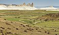 * Nomination: Bosjira. Zhabaiushkan sanctuary of local significance. Mangystau Region, Kazakhstan. By User:Ezra Sheyner --Красный 07:37, 30 May 2024 (UTC) * * Review needed