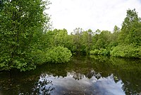 Petrovsky pond.jpg