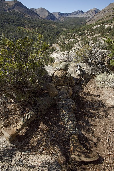 File:1-6 MTX 5-15 rock climbing at LZ Sardine Rock 150917-M-OU200-243.jpg