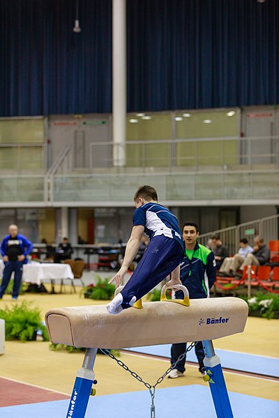 File:15th Austrian Future Cup 2018-11-24 Tim Landolt (Norman Seibert) - 06111.jpg