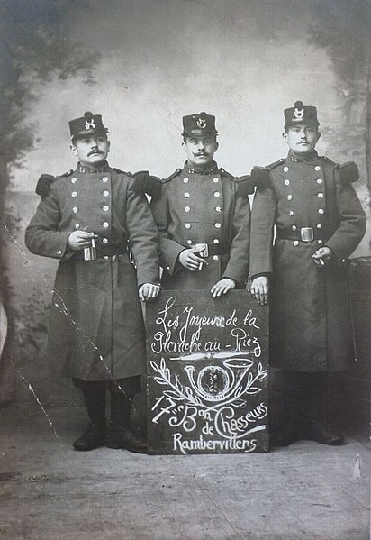 File:17e BCP de chasseurs de Rambervillers.jpg